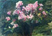 Study of Azaleas Charles-Amable Lenoir